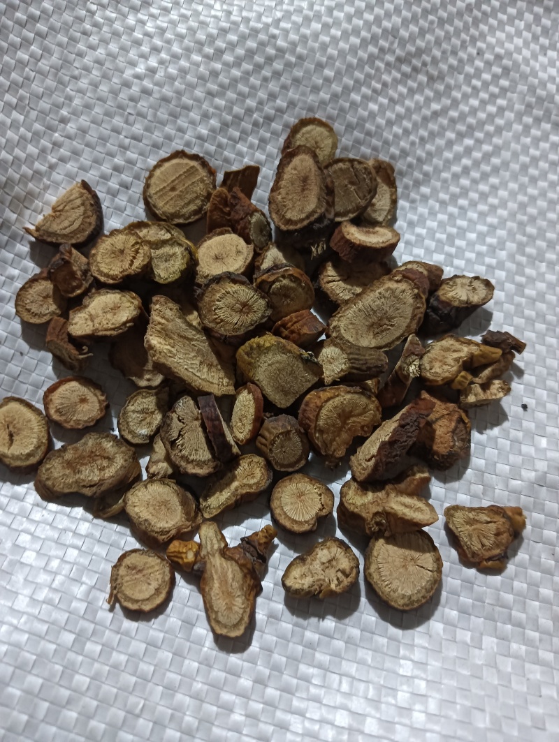 寄生多个寄生现货供应实物实拍批发各种中药材