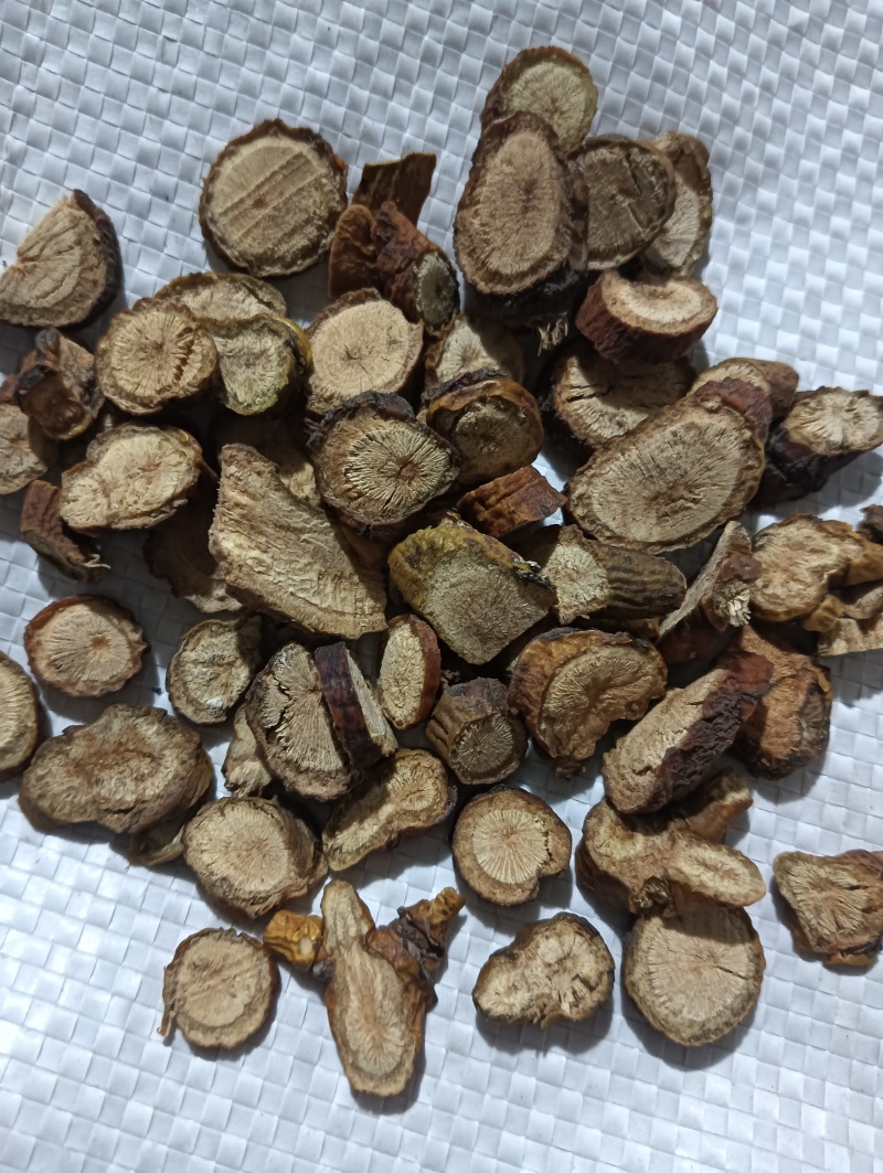 寄生多个寄生现货供应实物实拍批发各种中药材