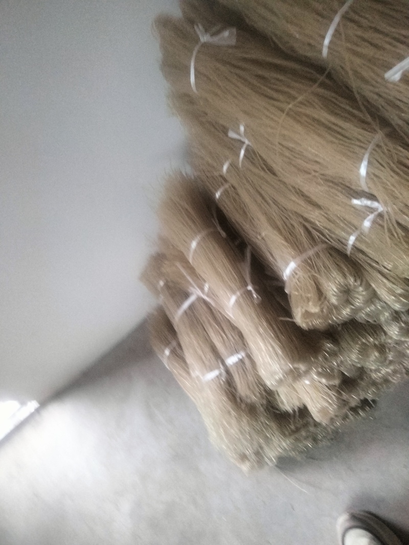 四川芭蕉芋粉条，大量新鲜现货，保质保量，欢迎选购