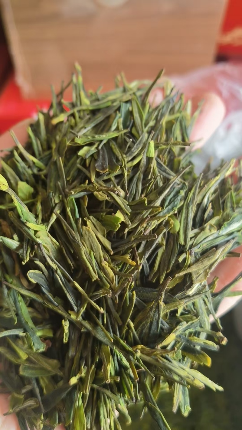 崂山特产，崂山茶