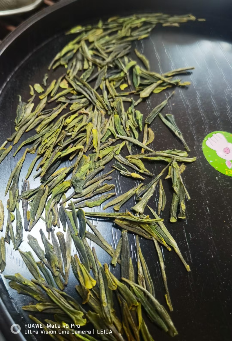 崂山特产，崂山茶