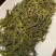 崂山特产，崂山茶