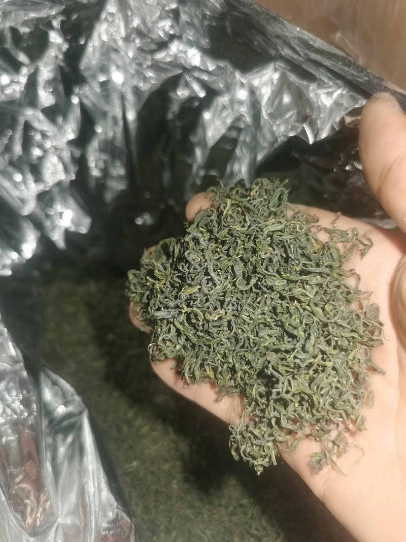 崂山特产，崂山茶