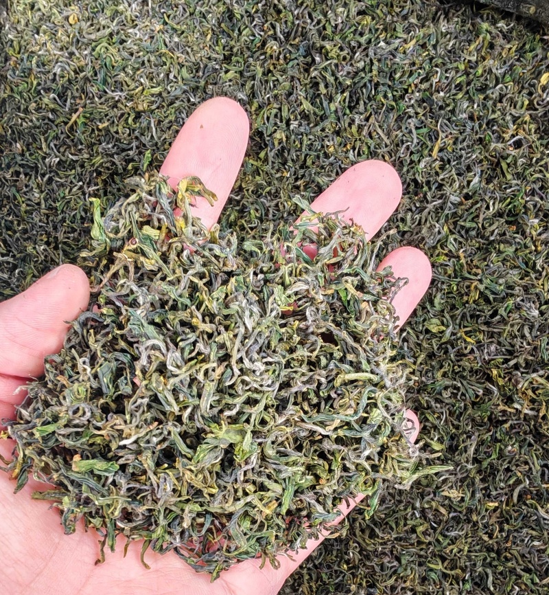 崂山特产，崂山茶