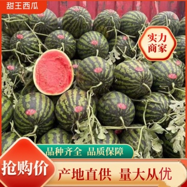 山东精品甜王西瓜货源充足量大从优对接批发市场电商