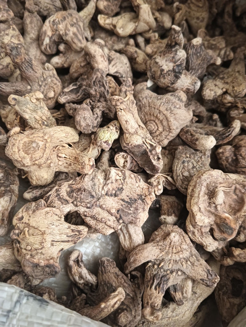 白芨白芨个白芨片规格任选批发各种中药材量大优惠