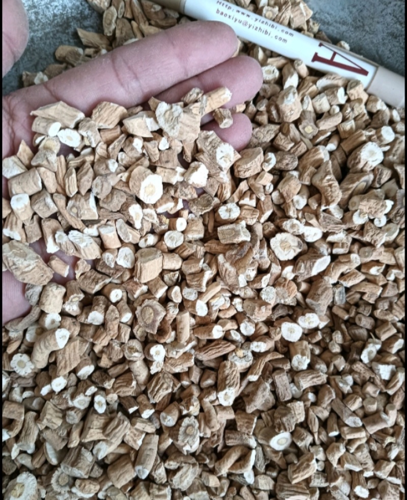板蓝根现货供应中药材板蓝根1斤起批量大优惠