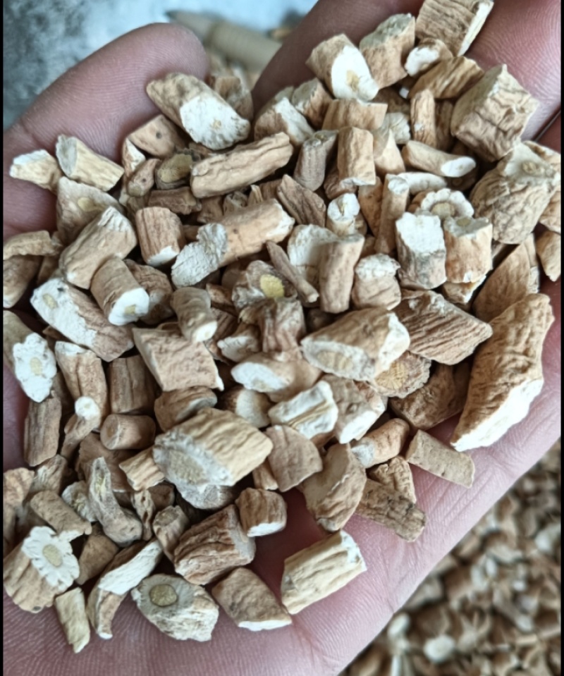 板蓝根现货供应中药材板蓝根1斤起批量大优惠