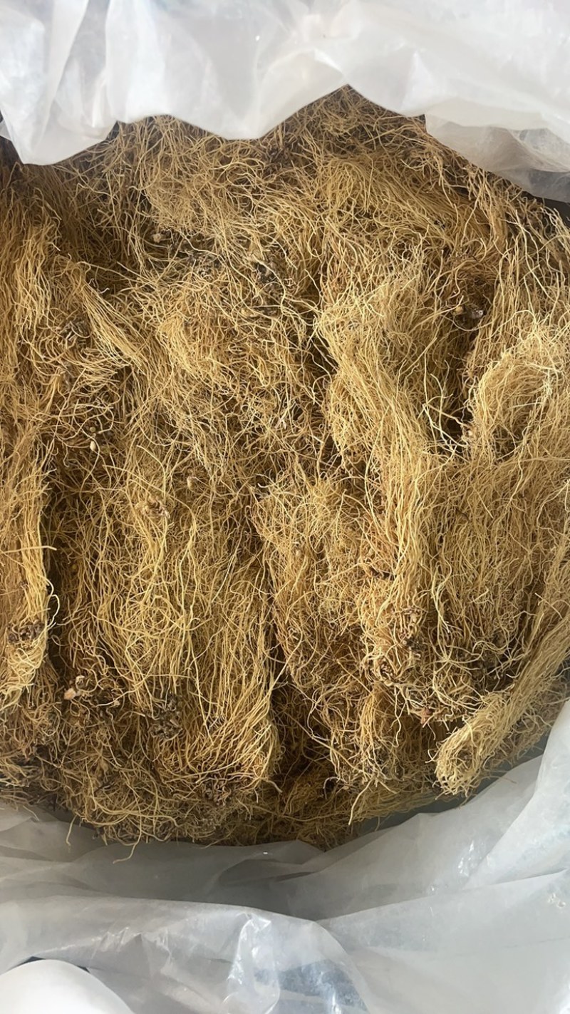 北细辛辽细辛保真保量即见即所得包邮
