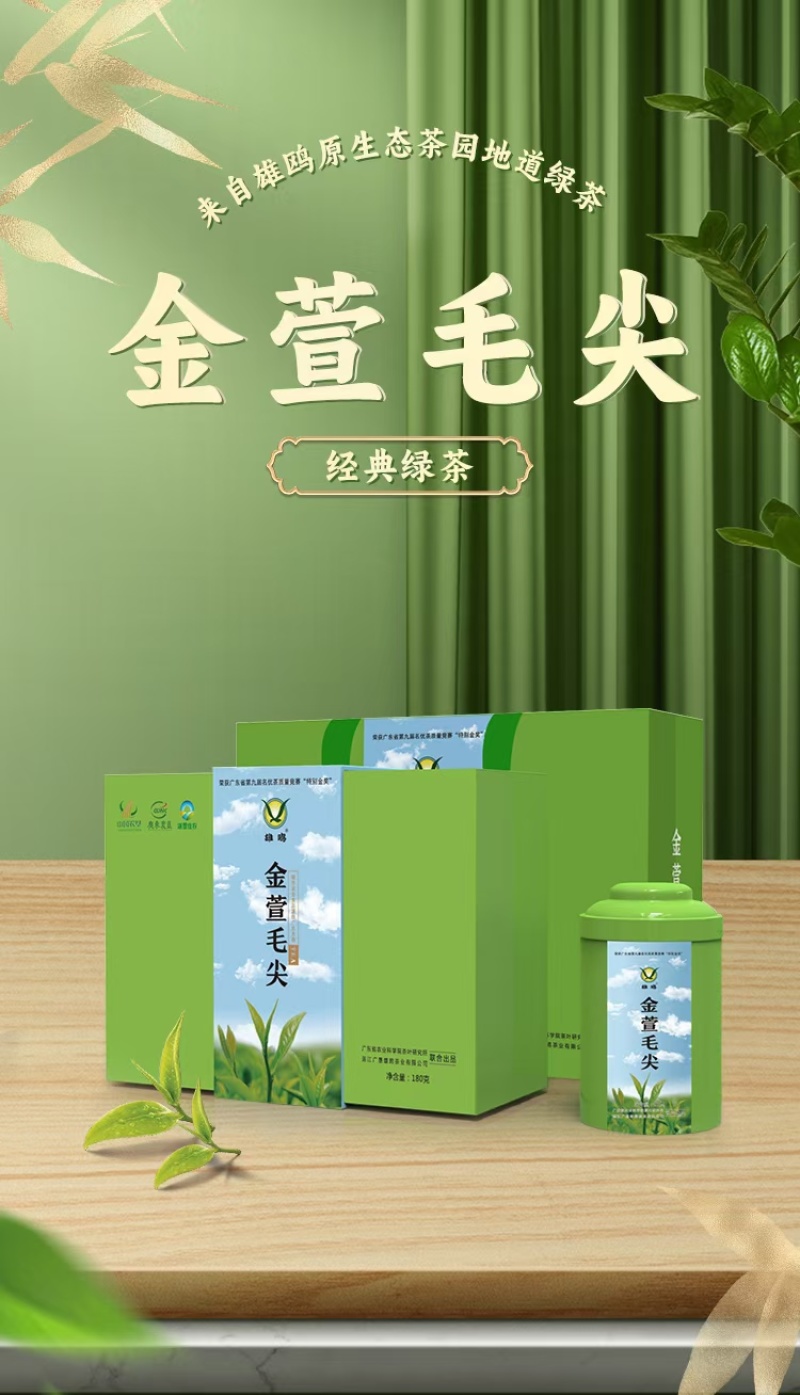 雄鸥蒸青绿茶春茶金萱毛尖礼盒装
