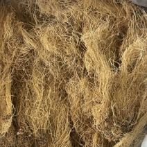 北细辛辽细辛保真保量即见即所得包邮