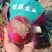 洋葱，黄洋葱红洋葱有现挖80起步无管无双胞……