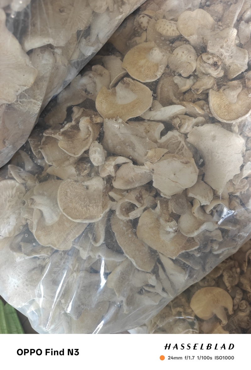 推荐：香菇.食品厂.饺子馅.蘑菇酱专用