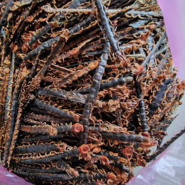 蜈蚣皮干蜈蚣湖北蜈蚣药用蜈蚣