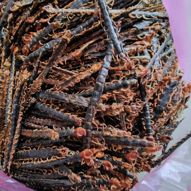 蜈蚣皮干蜈蚣湖北蜈蚣药用蜈蚣