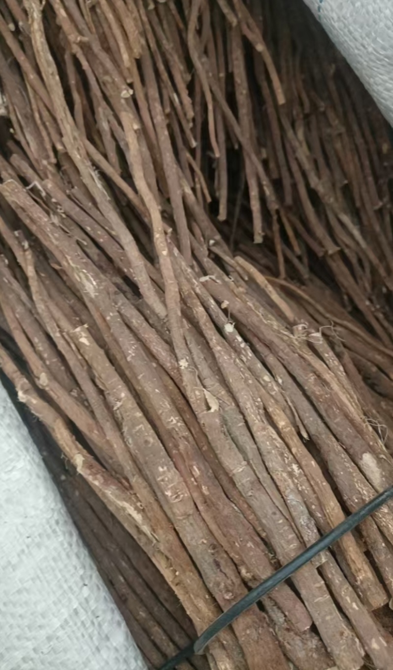 红芪（特甜高糖质产地一手货源品质保证货源充足全国发货