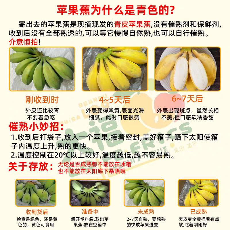 云南广西小米蕉正宗苹果蕉皇帝蕉小香蕉芭蕉一件代发批发