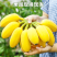 云南广西小米蕉正宗苹果蕉皇帝蕉小香蕉芭蕉一件代发批发