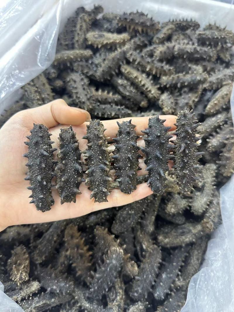 大连辽参新货上新！规格：30-40-50头十倍泡发