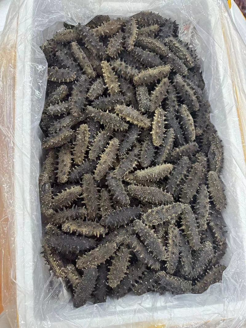 大连辽参新货上新！规格：30-40-50头十倍泡发