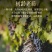 批发傲鱼红酒蔚蓝R4智利原装原瓶进口干红葡萄酒赤霞珠整箱