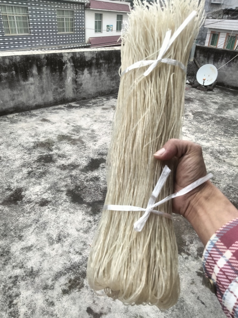 四川芭蕉芋粉条，大量新鲜现货，保质保量，欢迎选购