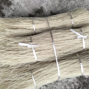 四川芭蕉芋粉条，大量新鲜现货，保质保量，欢迎选购