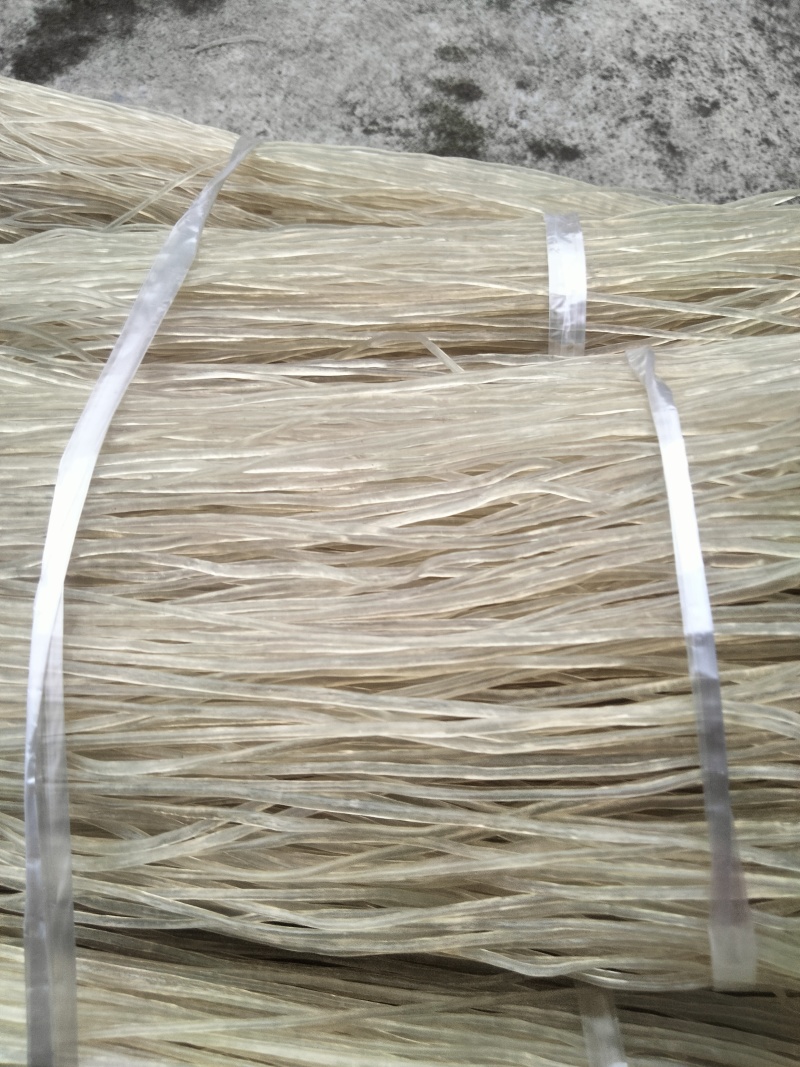 四川芭蕉芋粉条，大量新鲜现货，保质保量，欢迎选购