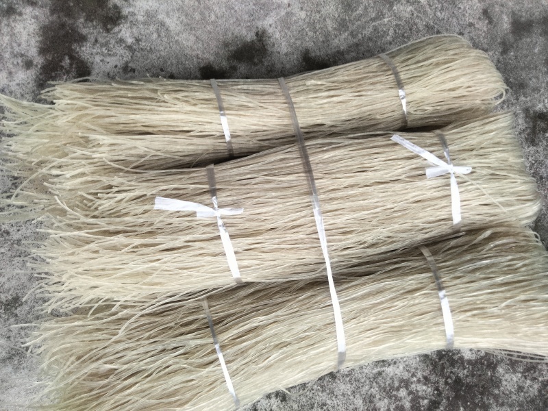 四川芭蕉芋粉条，大量新鲜现货，保质保量，欢迎选购