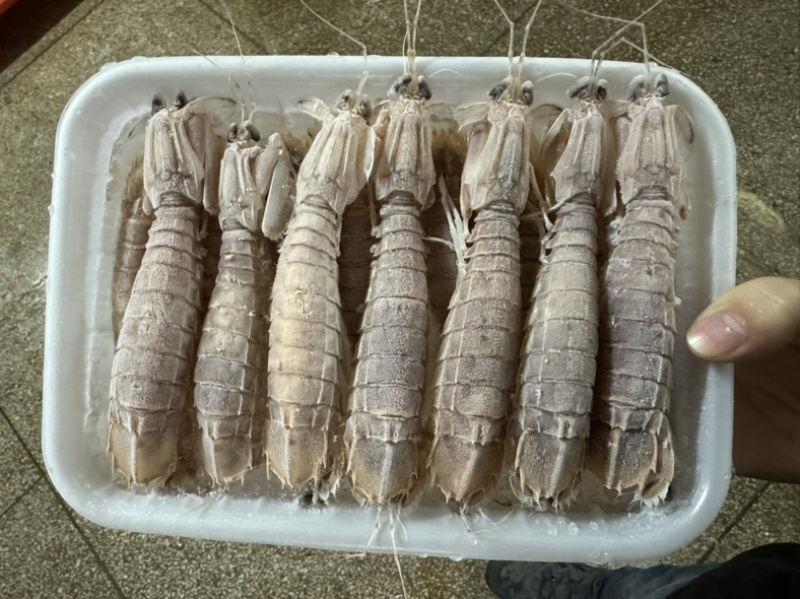 皮皮虾