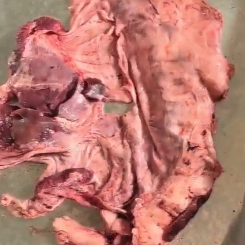 护心肉