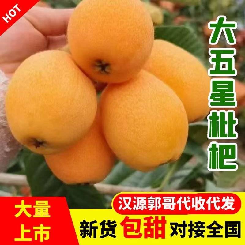 四川五星枇杷新鲜采摘产地直发/品质好价格公道/全国发货