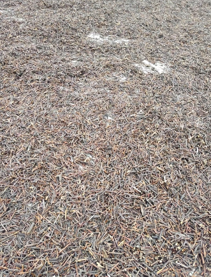 勾藤，产地直发，价格优惠，价格详谈，视频看货，品质保证