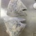 蓝旗金枪鱼鱼头