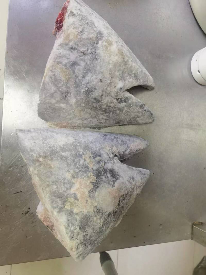 蓝旗金枪鱼鱼头