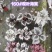 110#观叶海棠一件30盆（7色随机混装）