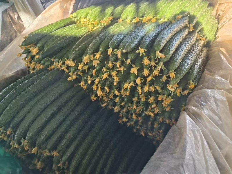 山东沂南产地直发，一手货源，精品带刺带花