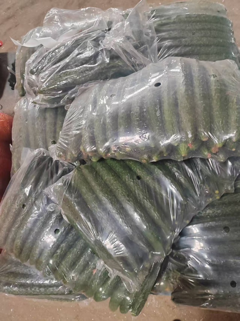 山东沂南产地直发，一手货源，精品带刺带花