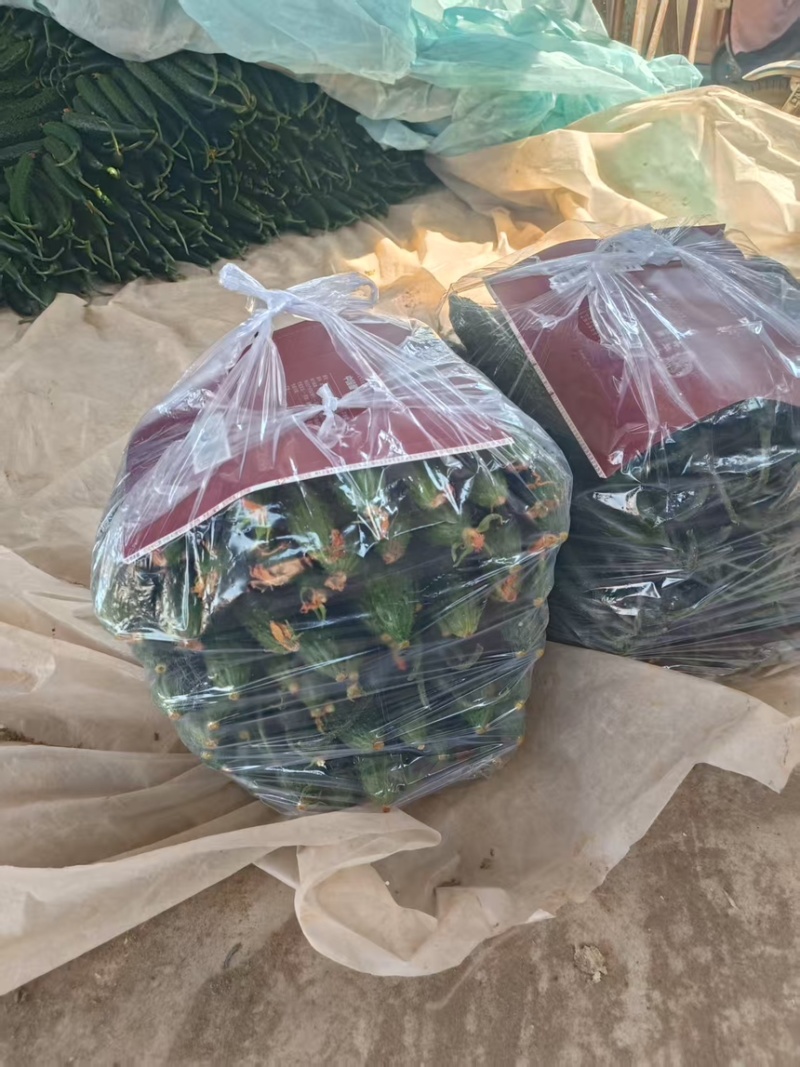 山东沂南产地直发，一手货源，精品带刺带花