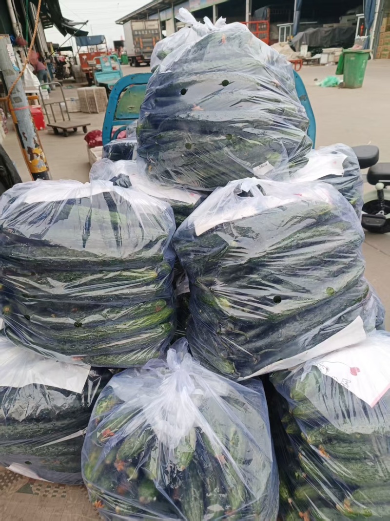 山东沂南产地直发，一手货源，精品带刺带花