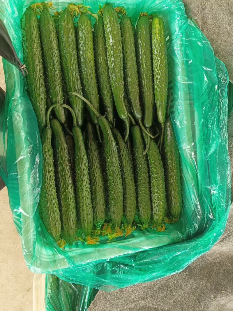 山东沂南产地直发，一手货源，精品带刺带花