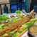 新鲜鳄鱼肉，白条，分割肉，烧烤酒店都可以38一斤