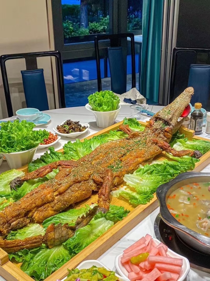 新鲜鳄鱼肉，白条，分割肉，烧烤酒店都可以38一斤