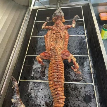 新鲜鳄鱼肉，白条，分割肉，烧烤酒店都可以38一斤