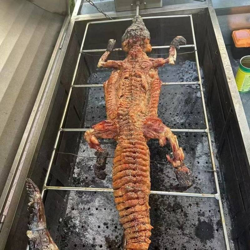 新鲜鳄鱼肉，白条，分割肉，烧烤酒店都可以38一斤