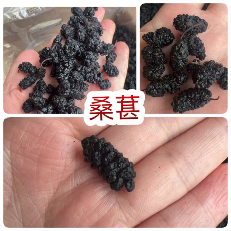 桑葚地摊电商批发野生无沙黑桑葚干黑桑椹桑果干桑葚子干