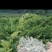 张家界莓茶野生藤茶湘西土家龙须芽尖莓茶养生茶500克