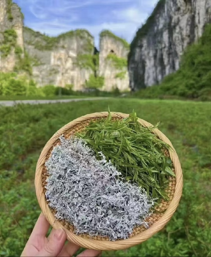 张家界莓茶野生藤茶湘西土家龙须芽尖莓茶养生茶500克