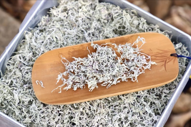 张家界莓茶野生藤茶湘西土家龙须芽尖莓茶养生茶500克