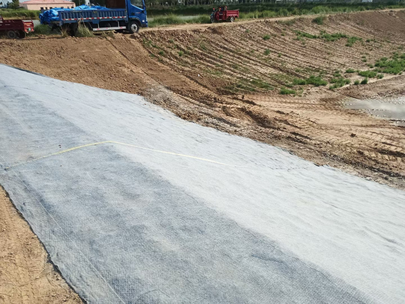 鱼塘河道水渠工程护基路面硬化。防护防冻防渗水